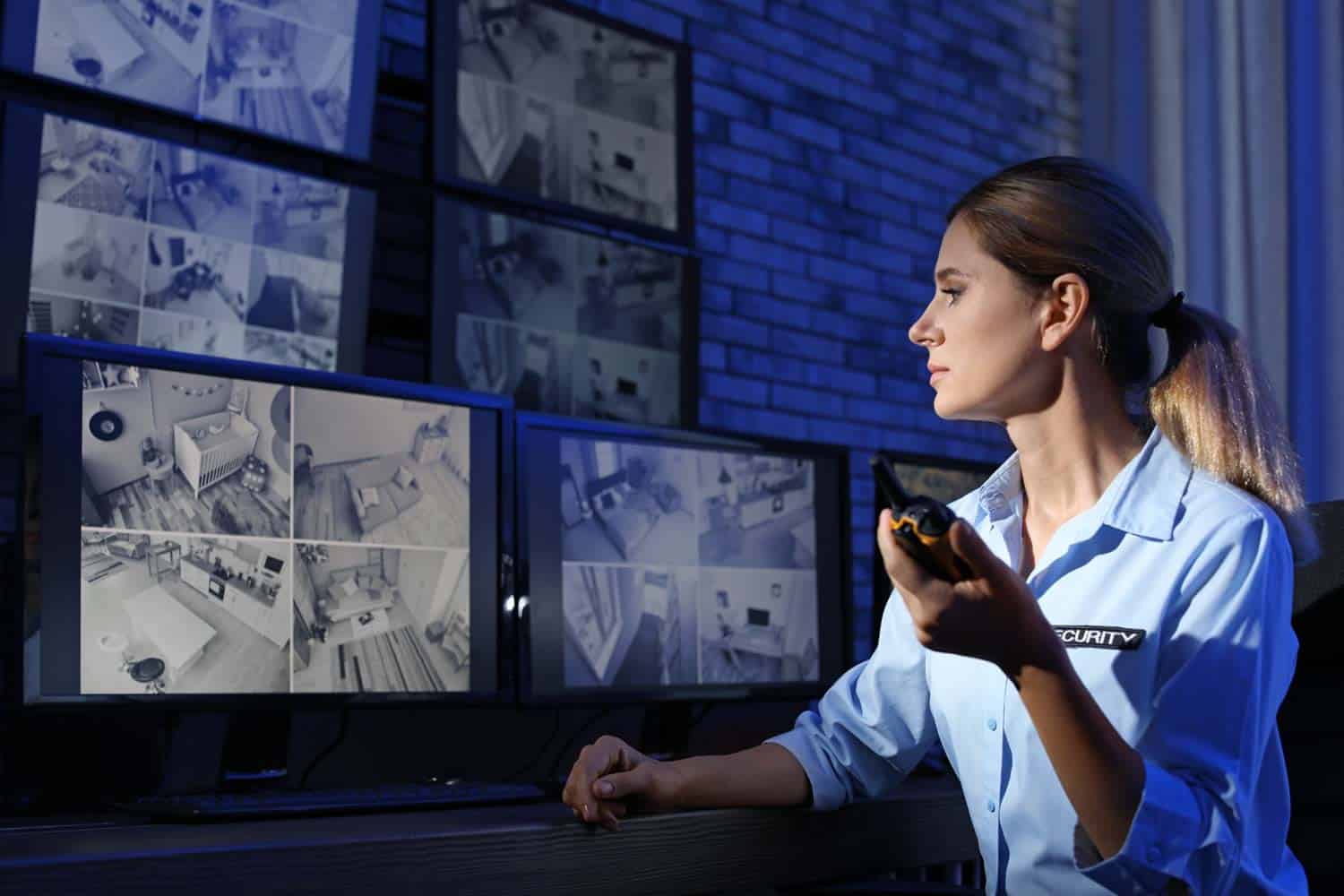 What Can a Virtual Security Guard Do?