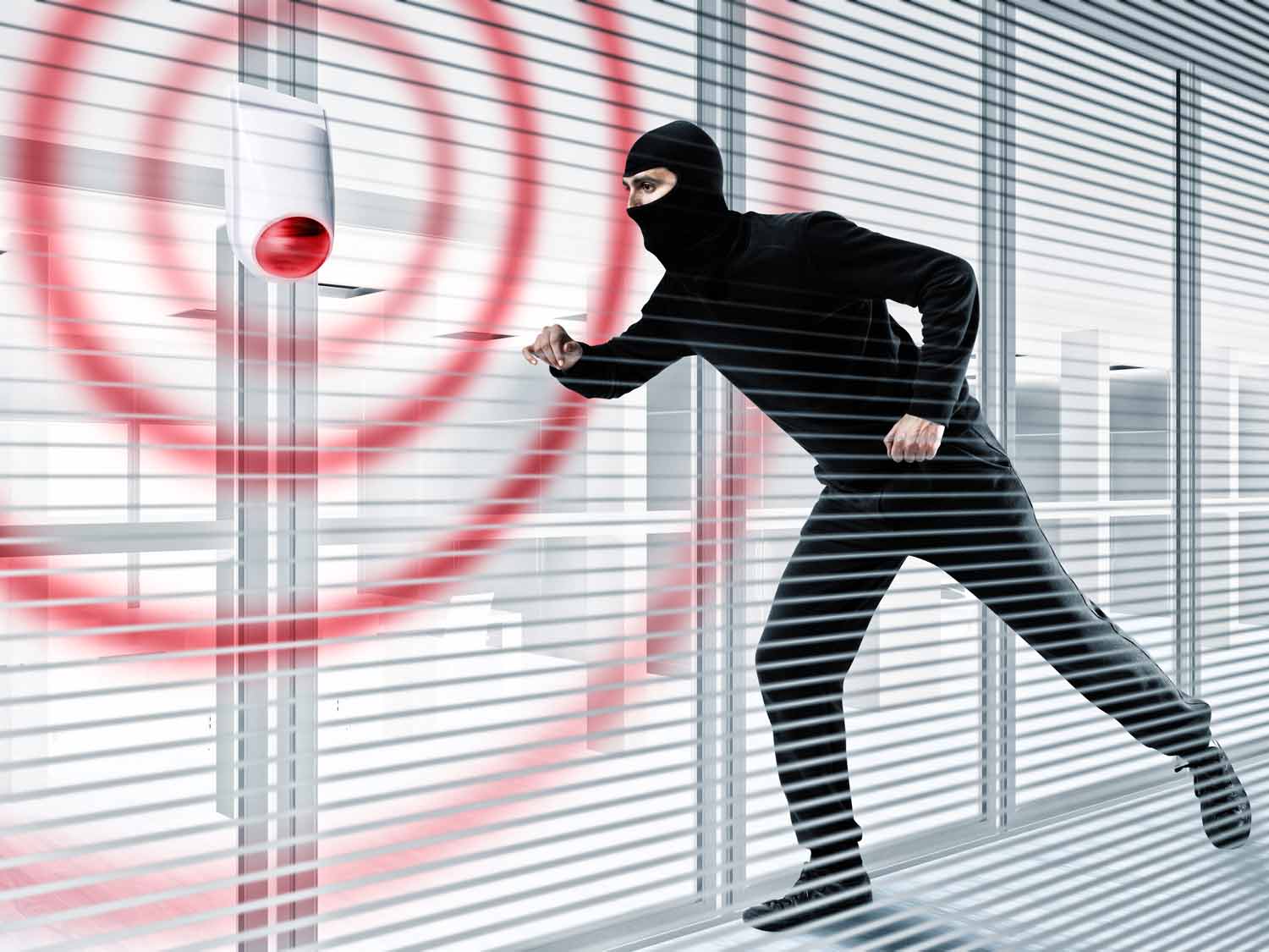 Intrusion Detection