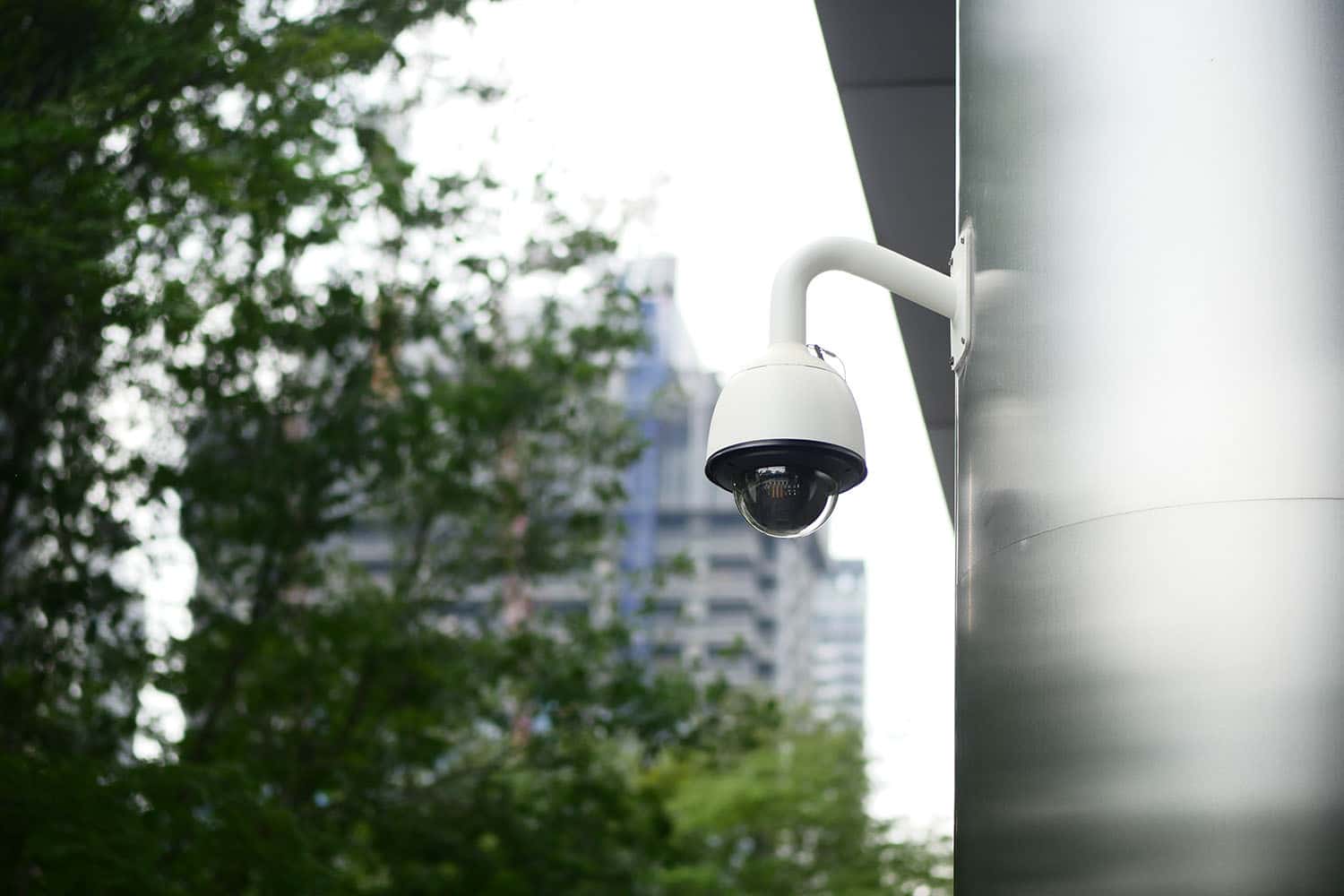 Making the Right Choice for Your Site