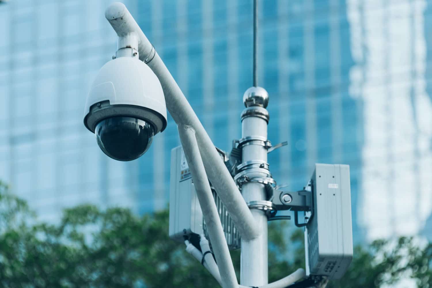 Wired vs Wireless Security Cameras Which Is Right for Your Business